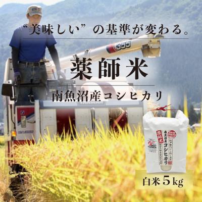 ふるさと納税 南魚沼市 [令和8年新米予約][南魚沼市食味コンテスト優秀賞]南魚沼産コシヒカリ 薬師米 白米5kg