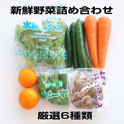 ふるさと納税 印南町 旬の新鮮野菜セット 6品目[野菜詰め合わせ]