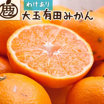 ふるさと納税 印南町 家庭用 大きな有田みかん2.5kg+250g(傷み補償分)[光センサー選果][訳あり]