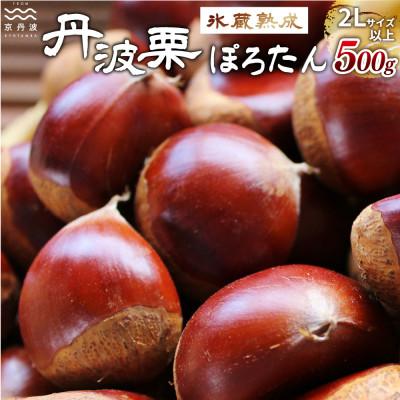 ふるさと納税 京丹波町 京丹波町岩崎農園の「ぽろたん」500g 氷蔵熟成栗 京丹波町産 丹波栗
