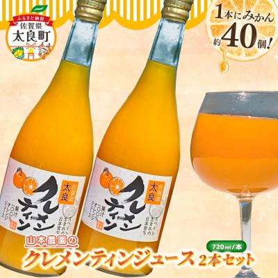 ふるさと納税 太良町 山本農園のクレメンティンジュース 2本セット(太良町)[NC28]