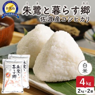 ふるさと納税 佐渡市 [新米予約]令和8年産 佐渡島産 朱鷺と暮らす郷(コシヒカリ) 白米4kg 特別栽培米