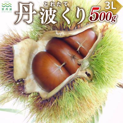 ふるさと納税 京丹波町 とれたて 丹波くり 3L 500g(京都 京丹波町産 生栗)
