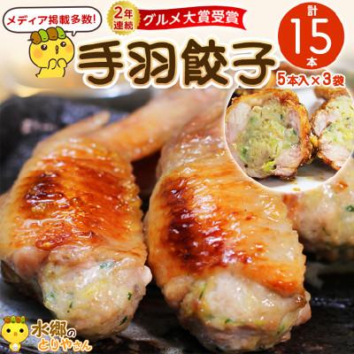 ふるさと納税 香取市 手羽先餃子15本セット/水郷のとりやさん
