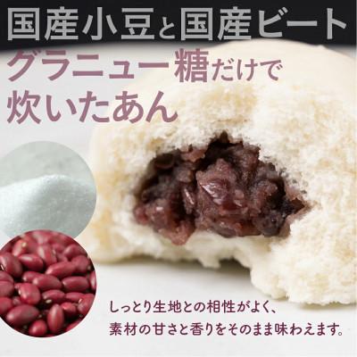 ふるさと納税 豊橋市 あんまん 50g×40個