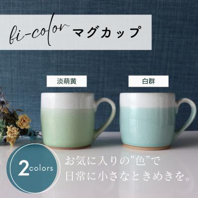 ふるさと納税 土岐市 [美濃焼] bi-color マグカップ 2色セット (淡萌黄・白群) [山二製陶所]