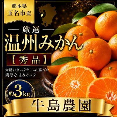 ふるさと納税 玉名市 熊本県玉名市産 厳選温州みかん[秀品]約3kg 牛島農園 (玉名市)
