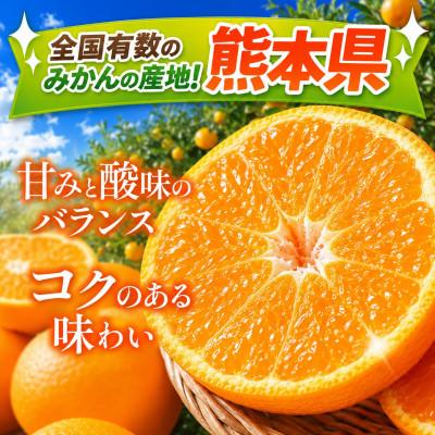 ふるさと納税 玉名市 熊本県玉名市産 厳選温州みかん【秀品】約5kg 牛島農園 (玉名市) |  | 01