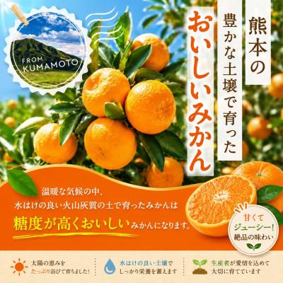 ふるさと納税 玉名市 熊本県玉名市産 厳選温州みかん【秀品】約5kg 牛島農園 (玉名市) |  | 02