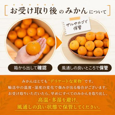 ふるさと納税 玉名市 熊本県玉名市産 厳選温州みかん【秀品】約5kg 牛島農園 (玉名市) |  | 03