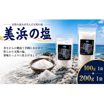 ふるさと納税 美浜町 美浜の塩 200g×1袋 美浜の塩 100g×1袋