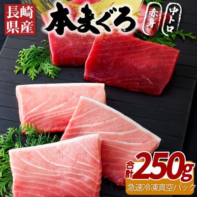 ふるさと納税 佐世保市 [長崎県産]本まぐろ(養殖)赤身・中トロ(計250g) A390b