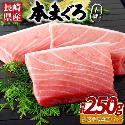 ふるさと納税 佐世保市 [長崎県産]本まぐろ(養殖)トロ(計250g) A391b