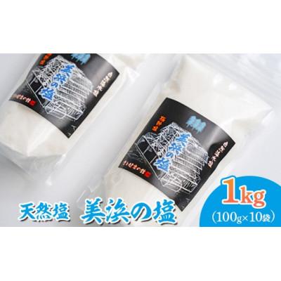 ふるさと納税 美浜町 美浜の塩 1kg (100g×10袋)