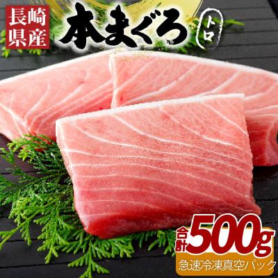 ふるさと納税 佐世保市 [長崎県産]本まぐろ(養殖)トロ(計500g) A401b