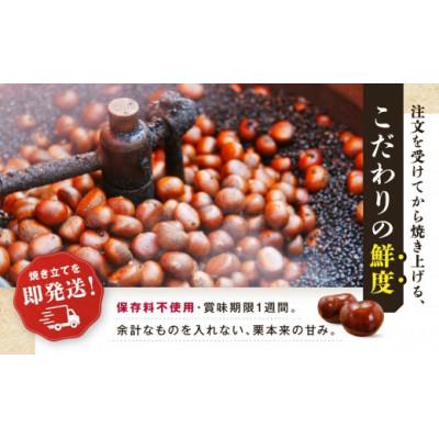 ふるさと納税 神戸市 【先行予約】無添加 大粒天津甘栗 700g 2026年10月下旬より順次発送 |  | 02