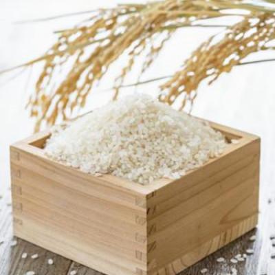 ふるさと納税 朝日村 お米 ゆうだい21(精米) 3kg