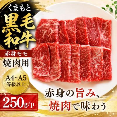 ふるさと納税 大津町 [A4〜A5]くまもと黒毛和牛赤身モモ焼肉用 250g
