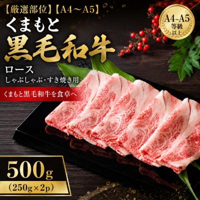ふるさと納税 大津町 [厳選部位][A4〜A5]くまもと黒毛和牛ロースしゃぶしゃぶすき焼き用 500g(250g×2p)