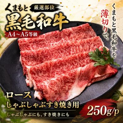 ふるさと納税 大津町 [厳選部位][A4〜A5]くまもと黒毛和牛ロースしゃぶしゃぶすき焼き用 250g