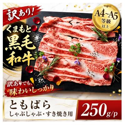 ふるさと納税 大津町 訳あり![A4〜A5]くまもと黒毛和牛ともばらしゃぶしゃぶすき焼き用 250g