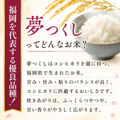 ふるさと納税 大木町 【令和7年産】福岡県産 お米 夢つくし 5キロ (5kg