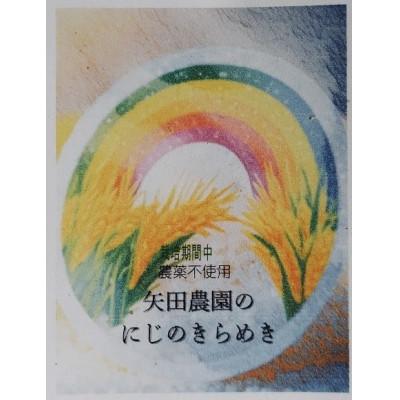 ふるさと納税 佐渡市 令和8年産、佐渡産にじのきらめき 精米5kg 栽培期間中農薬・化学肥料不使用