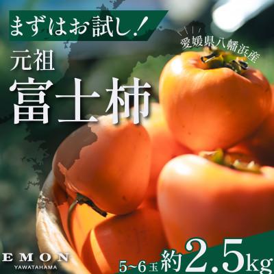 ふるさと納税 八幡浜市 ※先行受付中!![まずはお試し]元祖・富士柿2.5kg[63-6]