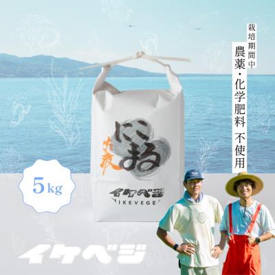 ふるさと納税 佐渡市 [にこまる]白米 5kg 令和8年産 新潟県佐渡産