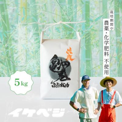 ふるさと納税 佐渡市 [亀の尾]白米 5kg 令和8年産 新潟県佐渡産