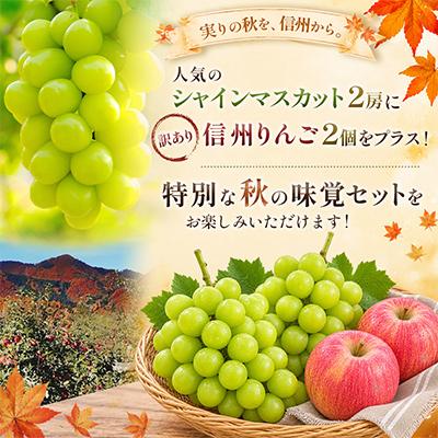 ふるさと納税 高山村 長野県産 シャインマスカット 1kg(2房)+ 訳あり 信州りんご 500gセット【2026年発送】 |  | 01