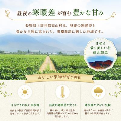 ふるさと納税 高山村 長野県産 シャインマスカット 1kg(2房)+ 訳あり 信州りんご 500gセット【2026年発送】 |  | 02