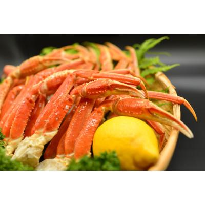 ふるさと納税 網走市 炉端五十集屋で人気の茹で本ズワイ蟹脚約1.5kg
