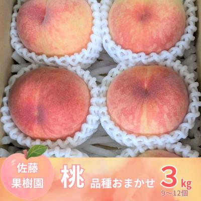 ふるさと納税 須賀川市 [佐藤果樹園]もも 品種おまかせ 贈答用 3kg 9〜12個