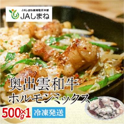 ふるさと納税 雲南市 [奥出雲和牛]和牛日本一のミックスホルモン (500g×1袋)(雲南市)