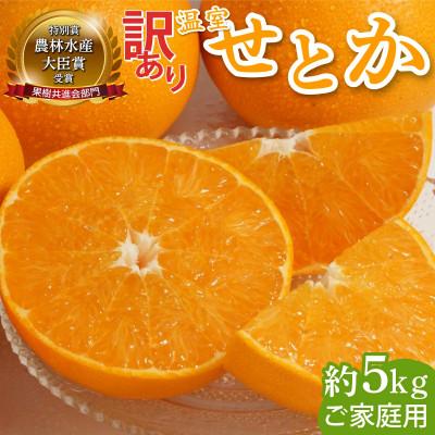 ふるさと納税 串間市 [先行予約]農林水産大臣賞受賞農園!(訳あり)ふるやさんちの温室せとか 約5kg(20〜24玉)