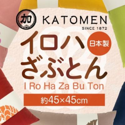 ふるさと納税 豊橋市 [ふるさと納税]いろはざぶとん 45cm角 柏