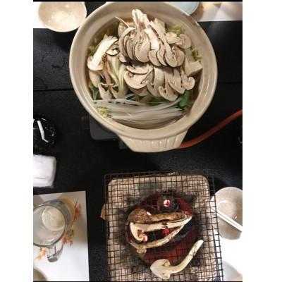 ふるさと納税 長野県 松茸　約500g |  | 02