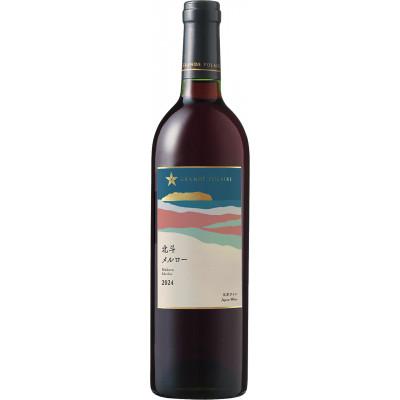 ふるさと納税 北斗市 [サッポロビール発]グランポレール 北斗メルロー2024 750ml×1本