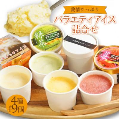 ふるさと納税 串間市 愛情たっぷりバラエティアイス詰合せ(4種)合計9個