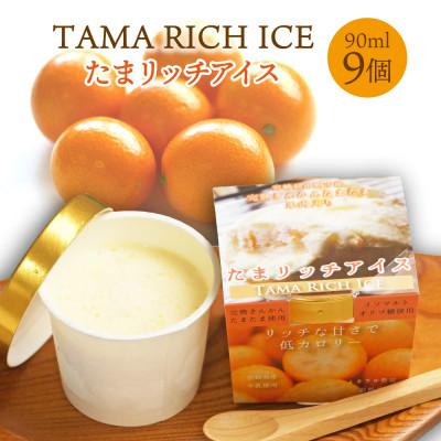ふるさと納税 串間市 串間市産 きんかんたまたま 使用!たまリッチアイス詰合せ(9個)