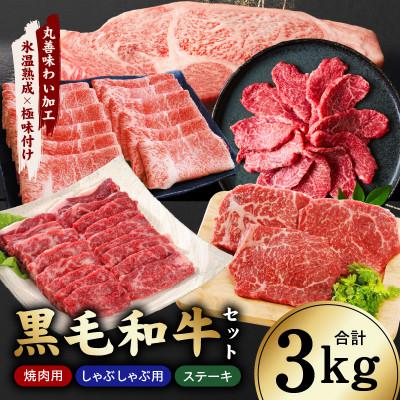 ふるさと納税 泉佐野市 [氷温熟成×極味付け]黒毛和牛セット 合計3kg 焼肉 しゃぶしゃぶ ステーキ