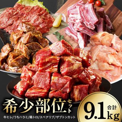 ふるさと納税 泉佐野市 [氷温熟成×極味付け/特製ダレ]希少部位セット 合計9.1kg 小分け