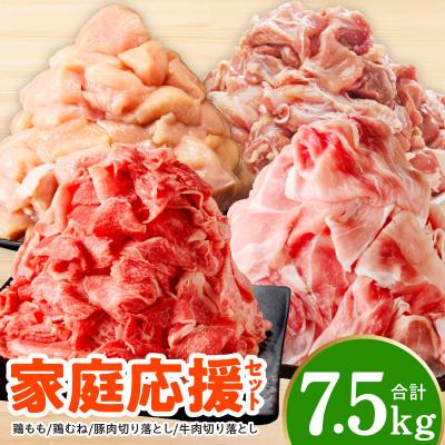 ふるさと納税 泉佐野市 [氷温熟成×極味付け]家計応援セット 合計7.5kg 鶏肉 豚肉 牛肉 カット済み