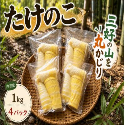 ふるさと納税 三好市 《1kg》たけのこ水煮(約250g〜300g×4パック)徳島県三好市産　アク抜き済み|小分け便利 | 
