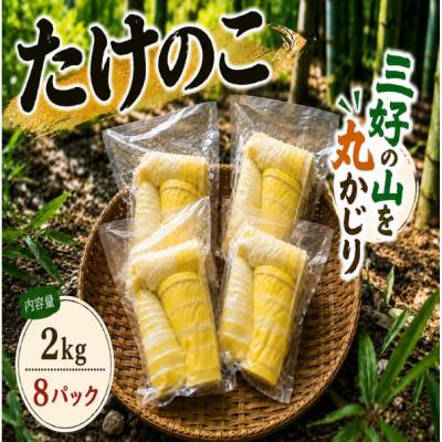 ふるさと納税 三好市 《2kg》たけのこ水煮(約250g〜300g×8パック)徳島