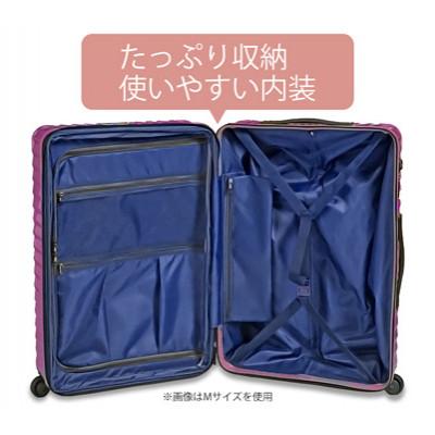 ふるさと納税 厚木市 TOMAXライトキャリー　スーツケース　小型ゴールド　3.1kg |  | 02