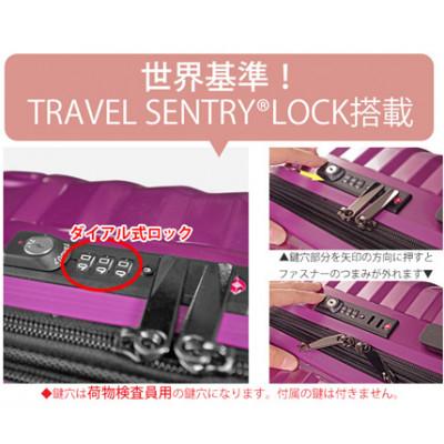 ふるさと納税 厚木市 TOMAXライトキャリー　スーツケース　小型ゴールド　3.1kg |  | 03