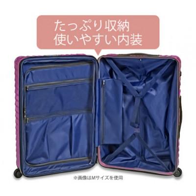 ふるさと納税 厚木市 TOMAXライトキャリー　スーツケース　小型ブルー　3.1kg |  | 02