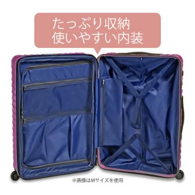 ふるさと納税 厚木市 TOMAXライトキャリー　スーツケース　中型ブラック　3.9kg |  | 02